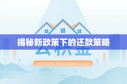 萍乡揭秘新政策下的还款策略
